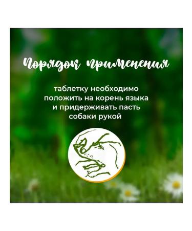 Boehringer Ingelheim Detmyedine tablets S 1.25 mg 100Tab - Buy Online on GoSupps.com