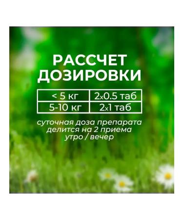 Boehringer Ingelheim Detmyedine tablets S 1.25 mg 100Tab - Buy Online on GoSupps.com