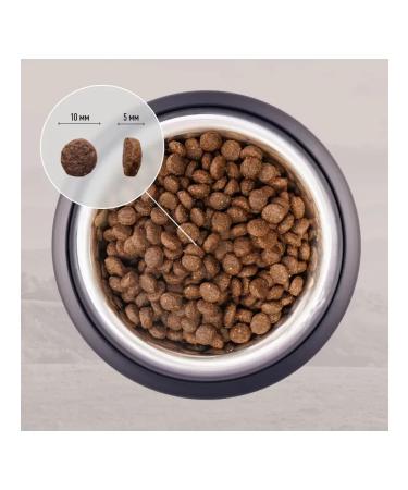Grandin Indoor food for cats with lamb 1.5 kg - Buy Online on GoSupps.com