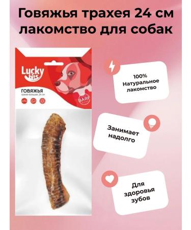 Lucky bits Dog treating trache of beef 24 cm - Buy Online on GoSupps.com