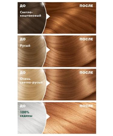Garnier Persistent Cream for Hair Color Naturals 7.34 - Buy Online on GoSupps.com