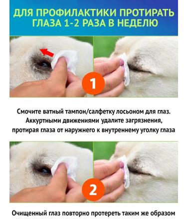 Anti -inflammatory eye drops for cats 60ml - Buy Online on GoSupps.com