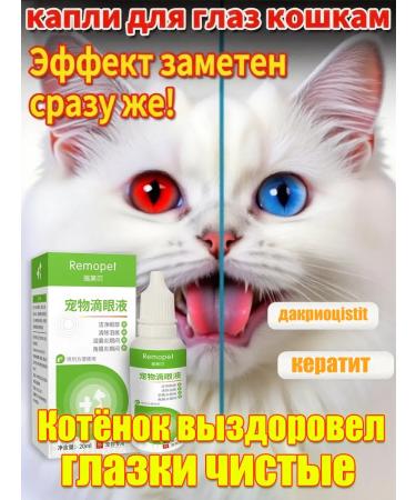Drops for the eyes of dogs and cats 20ml anti -inflammatory