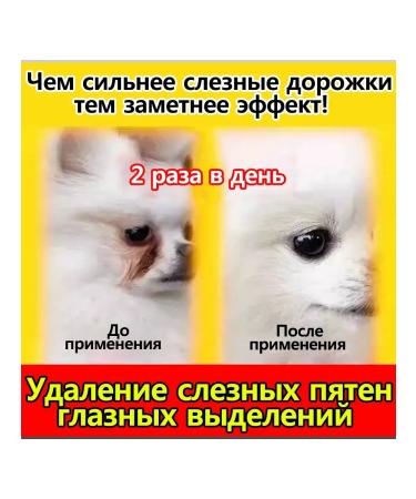 Drops for the eyes of dogs and cats 20ml anti -inflammatory - Buy Online on GoSupps.com