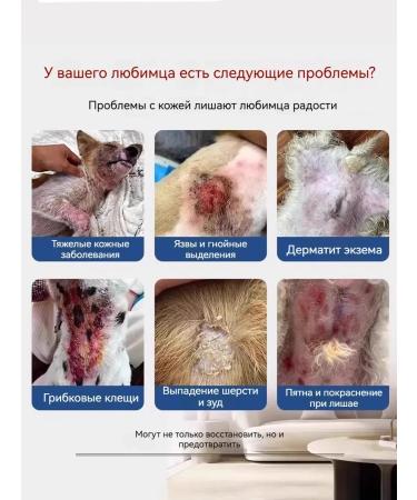 Spray from cutting lichen for cats and dogs - Buy Online on GoSupps.com