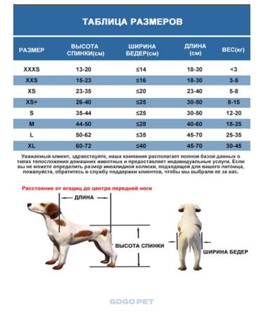 Folding wheelchair for dogs and cats - Buy Online on GoSupps.com