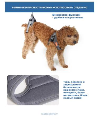 Folding wheelchair for dogs and cats - Buy Online on GoSupps.com