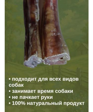 Trezorkino Bull root 13-15 cm 1 pc dog treats for dogs - Buy Online on GoSupps.com