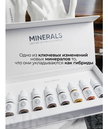 FACE Company Pigments for Eyebrow Permanent Face Warm 6ml - Buy Online on GoSupps.com