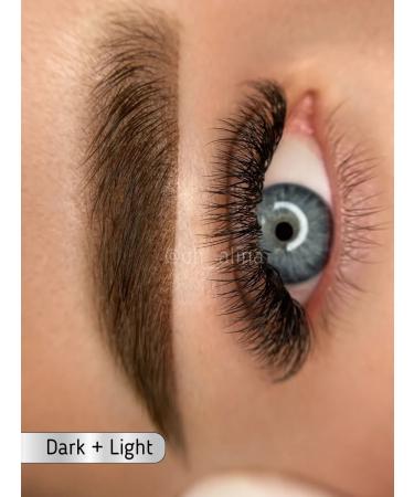 Face Company Pigments for Eyebrow Permanent Face Light 6ml - Buy Online on GoSupps.com