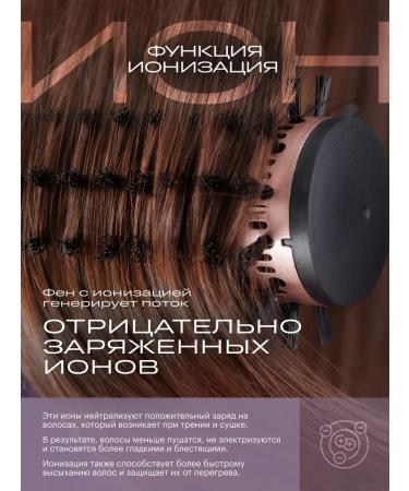 BEKMI HOME Hair brush with rotation of a styler - Buy Online on GoSupps.com