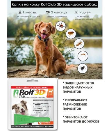 EcoProm 3D R404 DOLS for dogs 10-20 kg from ticks fleas and mosquitoes - Buy Online on GoSupps.com