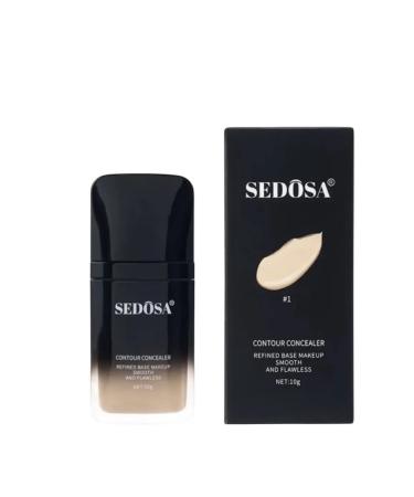 Sedosa Classile for the face and eyes Corrector dense tone 01