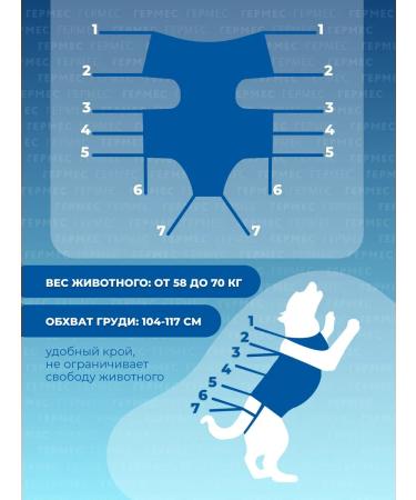 VITAVET PRO Popon postoperative for dogs flannel 58-70 kg - Buy Online on GoSupps.com