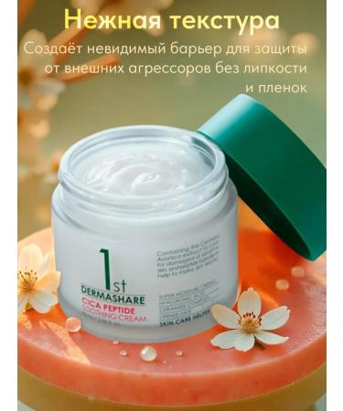 Dermashare Korean face cream with centella extract and peptides - Buy Online on GoSupps.com