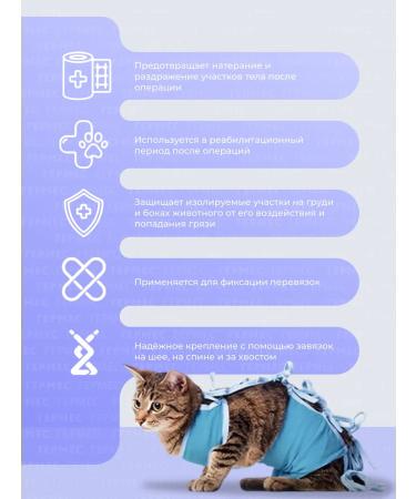 VITAVET PRO Popone for a cat postoperative  - Buy Online on GoSupps.com