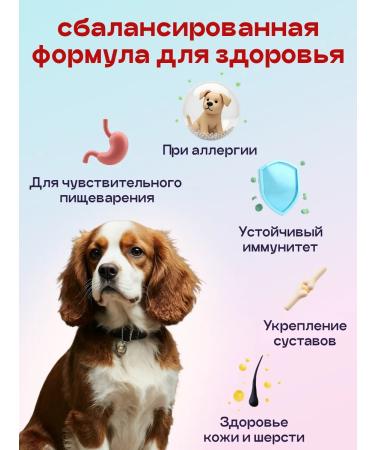 SPACEBAK Feed for dogs of small breeds of dry 0.8 kg lamb probiotic - Buy Online on GoSupps.com