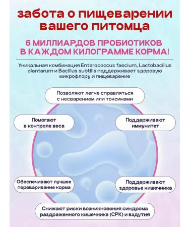 SPACEBAK Feed for dogs of small breeds of dry 5 kg lambs with a probiotic - Buy Online on GoSupps.com