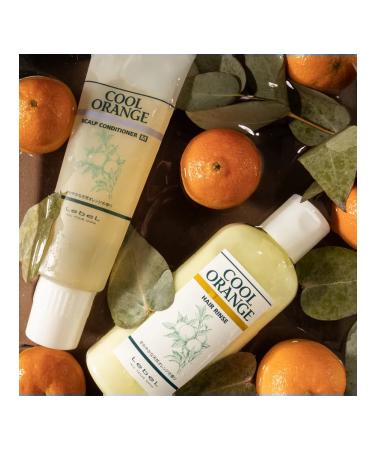 LebeL Cool Orange Hair Soap Ultra Cool 200 ml - Buy Online on GoSupps.com