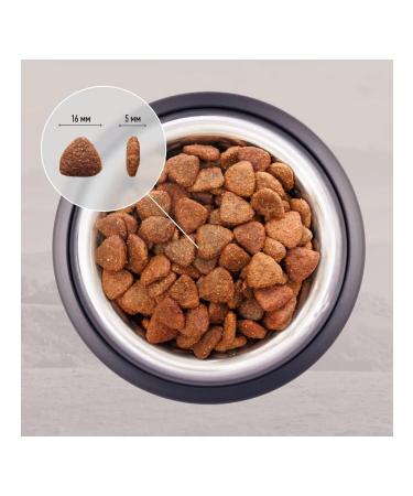 Grandin Holistic dog food with lamb 11.2 kg - Buy Online on GoSupps.com