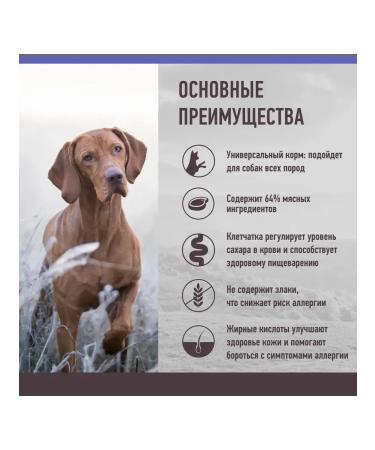 Grandin Hypoallergenic for dogs of all breeds lamb 11.2 kg - Buy Online on GoSupps.com