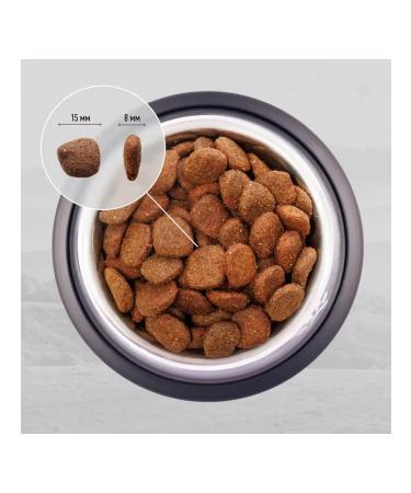 Grandin Hypoallergenic for dogs of all breeds lamb 11.2 kg - Buy Online on GoSupps.com