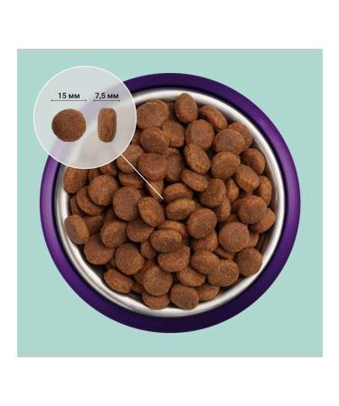 ABBA Adult feed for dogs of all breeds lamb and rice 12 kg - Buy Online on GoSupps.com