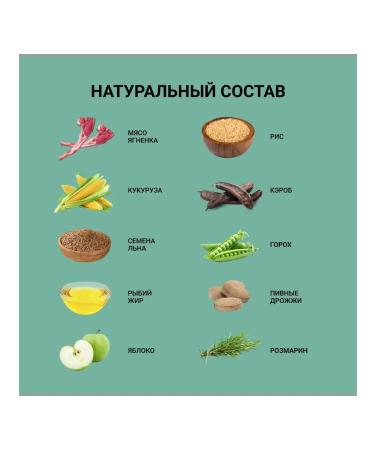 ABBA Adult feed for dogs of all breeds lamb and rice 12 kg - Buy Online on GoSupps.com