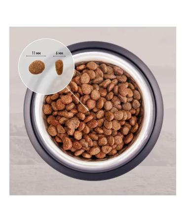 Grandin Holistic food for puppies with lamb and salmon 11.2 kg - Buy Online on GoSupps.com