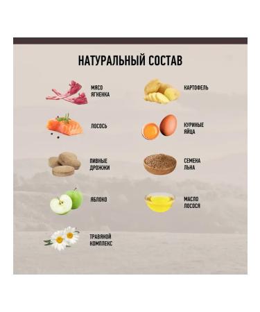 Grandin Holistic food for puppies with lamb and salmon 11.2 kg - Buy Online on GoSupps.com