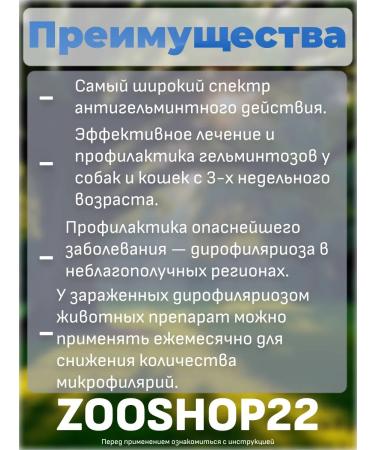 AVZ Dironet Suspension from worms for cats 15 ml - Buy Online on GoSupps.com