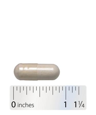 Nature's Way Probiotics and prebiotics 50 billion 30 capsules - Buy Online on GoSupps.com