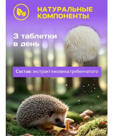 BAI ALTAI Ezhovik Channel Capsules 500 mg - Buy Online on GoSupps.com