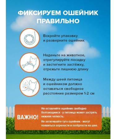 Good Dog&Cat Collar from fleas and ticks for cats and dogs 35cm orange - Buy Online on GoSupps.com