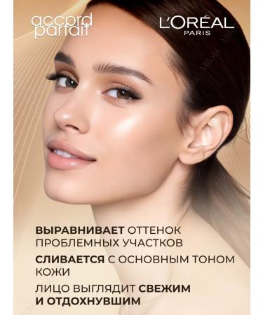 L'OREAL PARIS Face Conceler Alliance Perfect 2 N - Buy Online on GoSupps.com