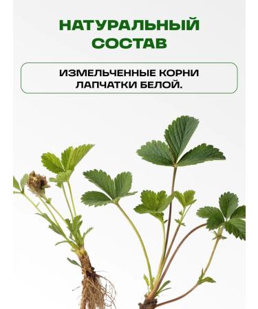 Honey and Jam Lapceta white root 2 pcs. 20 gr - Buy Online on GoSupps.com