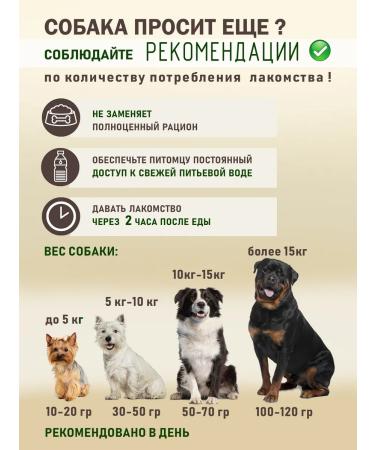 FUNNYU A treat for dogs of small breeds - Buy Online on GoSupps.com