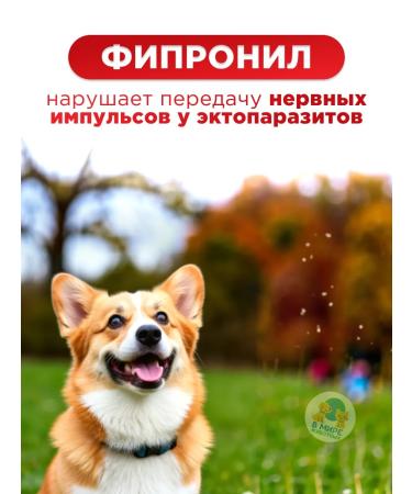 Neoterica Rolf Club 3D dog collar 65 cm - Buy Online on GoSupps.com