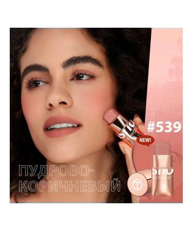 OTWOO O.TWO.O Set: PORTABLE 3-in-1 Blush Stick shade 539 (Powdery Brown) 7g + FREE SPONGE. - Buy Online on GoSupps.com