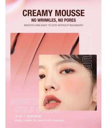 OTWOO O.TWO.O Set: PORTABLE 3-in-1 Blush Stick shade 539 (Powdery Brown) 7g + FREE SPONGE. - Buy Online on GoSupps.com