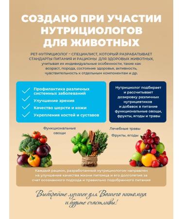 Original Choice Dry food for kittens pregnant and nursing cats 1.5 kg - Buy Online on GoSupps.com