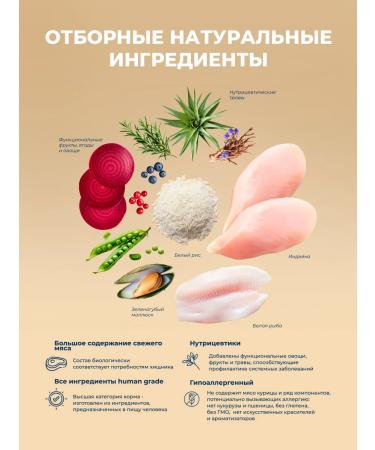 Original Choice Dry food for kittens pregnant and nursing cats 1.5 kg - Buy Online on GoSupps.com