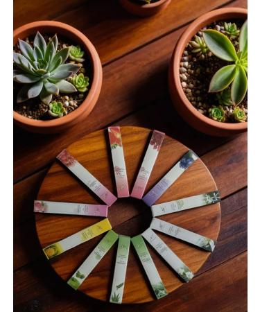 Pineapple Hand Care Set - Buy Online on GoSupps.com