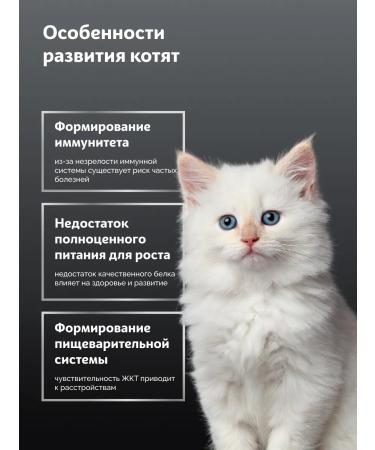 SkogsFRO Dry food for kittens turkey and rabbit 8 kg - Buy Online on GoSupps.com