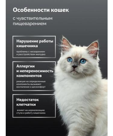 SkogsFRO Dry food for cats with sensitive digestion 4 kg - Buy Online on GoSupps.com