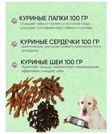 PurtNik Animal settings set - Buy Online on GoSupps.com