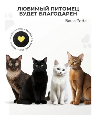 PETTA Shampoo for cats - Buy Online on GoSupps.com