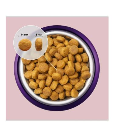 ABBA Fresh Meat dog food with salmon and rice 12 kg - Buy Online on GoSupps.com