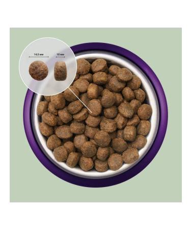 ABBA Grain Free Grain-Free Dog Food with Lamb and Potatoes 12 kg - Buy Online on GoSupps.com
