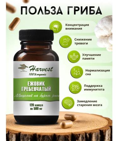 Harvesting Ezhovik creped 120 capsules 500 mg - Buy Online on GoSupps.com
